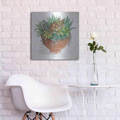Luxe Metal Art 'Terracotta Succulents II' by Cindy Jacobs, Metal Wall Art,24x24