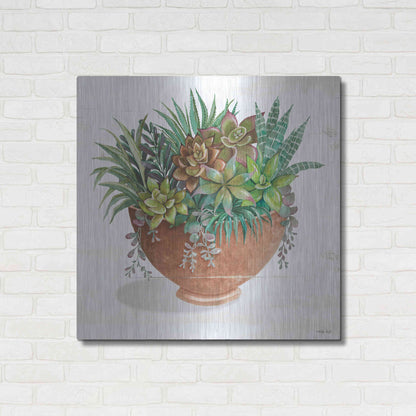 Luxe Metal Art 'Terracotta Succulents II' by Cindy Jacobs, Metal Wall Art,36x36