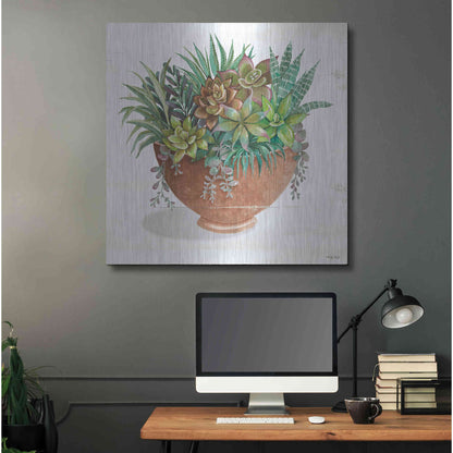 Luxe Metal Art 'Terracotta Succulents II' by Cindy Jacobs, Metal Wall Art,36x36