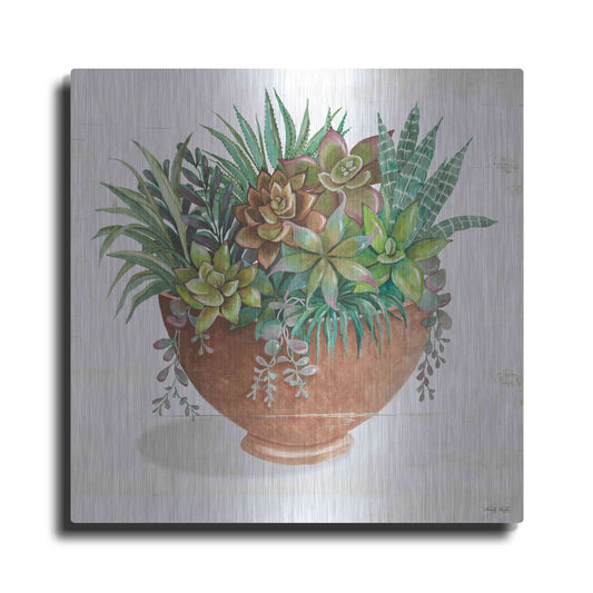 Luxe Metal Art 'Terracotta Succulents II' by Cindy Jacobs, Metal Wall Art