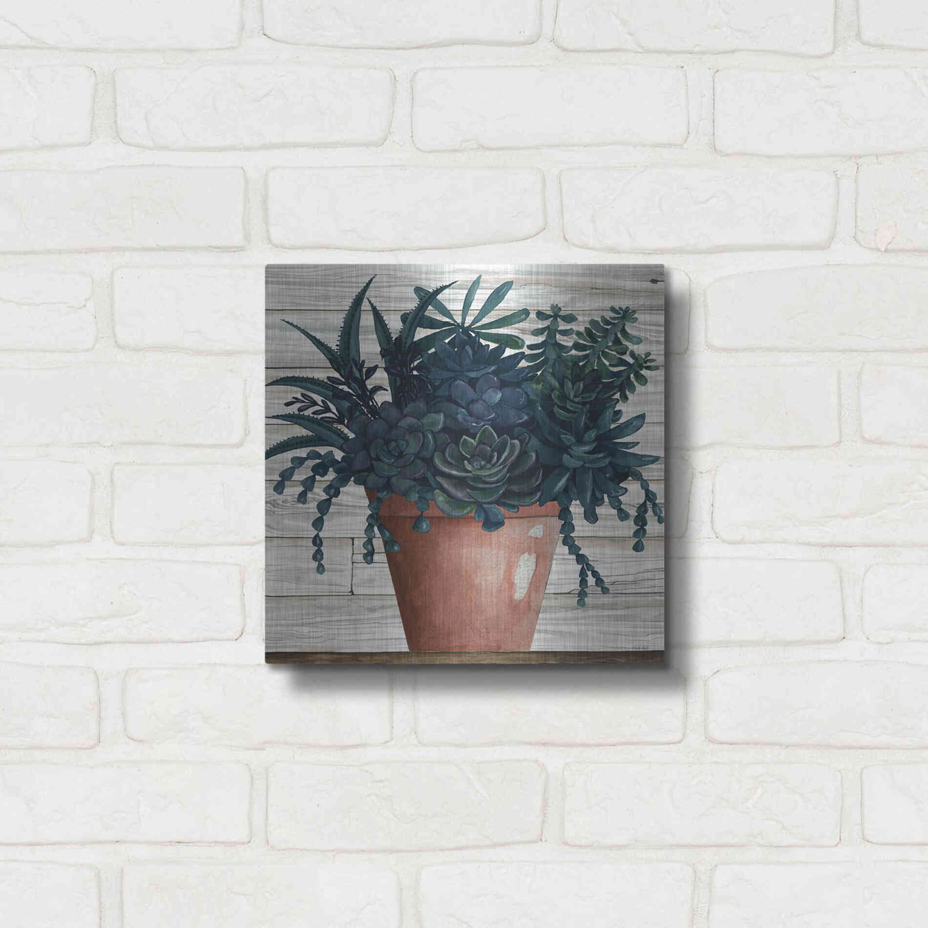 Luxe Metal Art 'Remarkable Succulents III' by Cindy Jacobs, Metal Wall Art,12x12