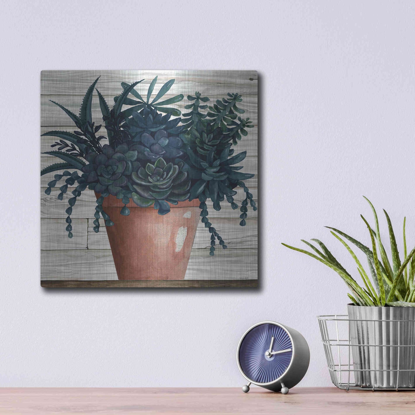 Luxe Metal Art 'Remarkable Succulents III' by Cindy Jacobs, Metal Wall Art,12x12
