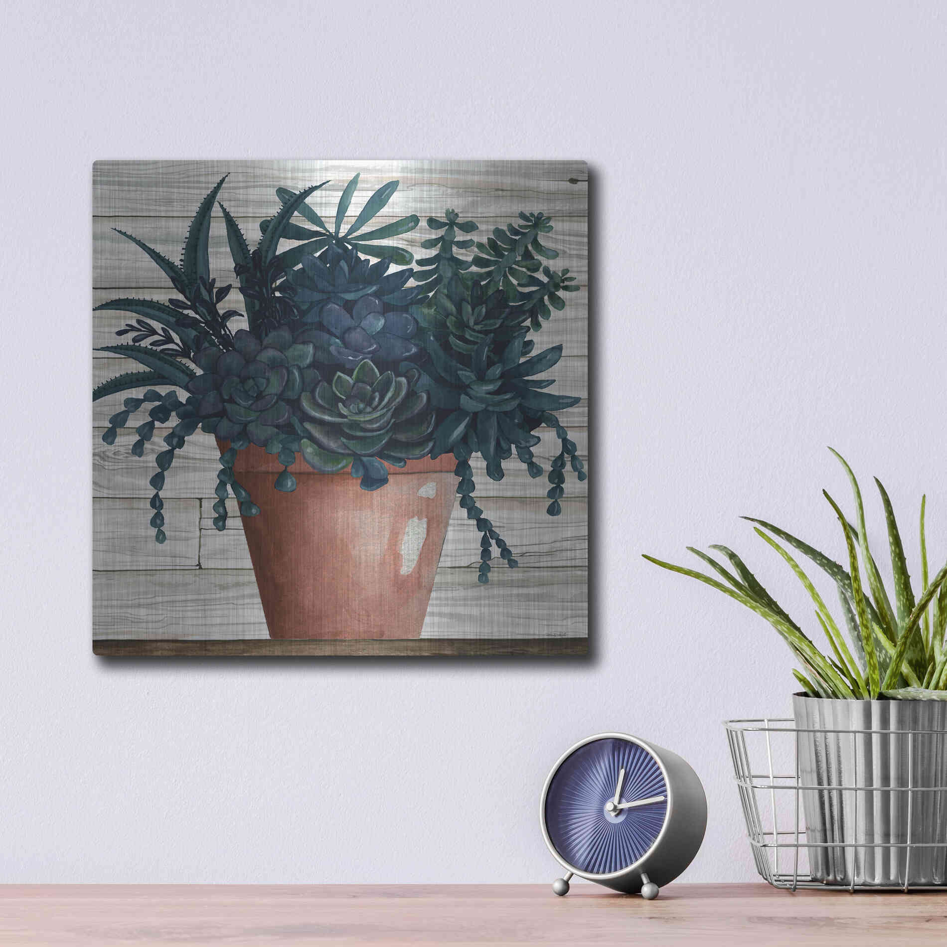 Luxe Metal Art 'Remarkable Succulents III' by Cindy Jacobs, Metal Wall Art,12x12