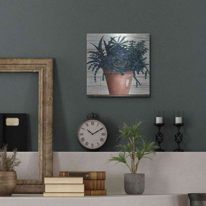 Luxe Metal Art 'Remarkable Succulents III' by Cindy Jacobs, Metal Wall Art,12x12