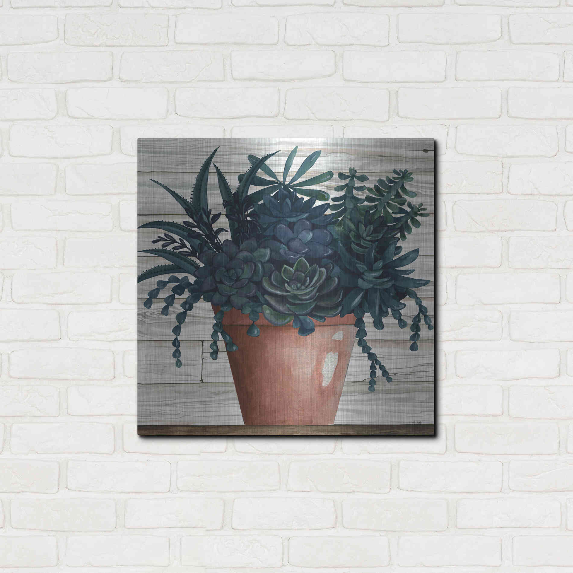 Luxe Metal Art 'Remarkable Succulents III' by Cindy Jacobs, Metal Wall Art,24x24