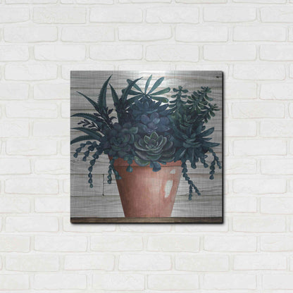 Luxe Metal Art 'Remarkable Succulents III' by Cindy Jacobs, Metal Wall Art,24x24