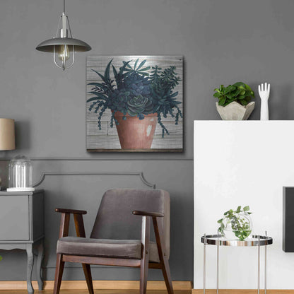 Luxe Metal Art 'Remarkable Succulents III' by Cindy Jacobs, Metal Wall Art,24x24