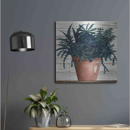 Luxe Metal Art 'Remarkable Succulents III' by Cindy Jacobs, Metal Wall Art,24x24
