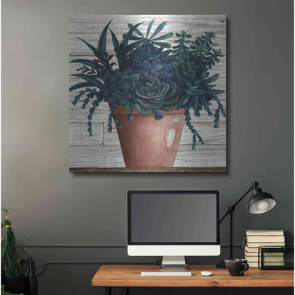 Luxe Metal Art 'Remarkable Succulents III' by Cindy Jacobs, Metal Wall Art,36x36