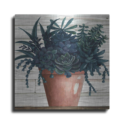 Luxe Metal Art 'Remarkable Succulents III' by Cindy Jacobs, Metal Wall Art