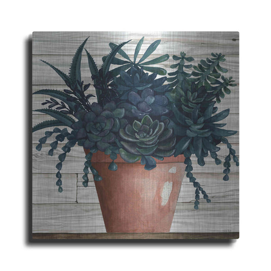 Luxe Metal Art 'Remarkable Succulents III' by Cindy Jacobs, Metal Wall Art