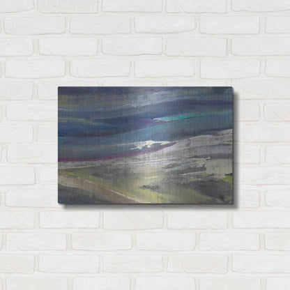 Luxe Metal Art 'Highlands' by Albena Hristova, Metal Wall Art,24x16