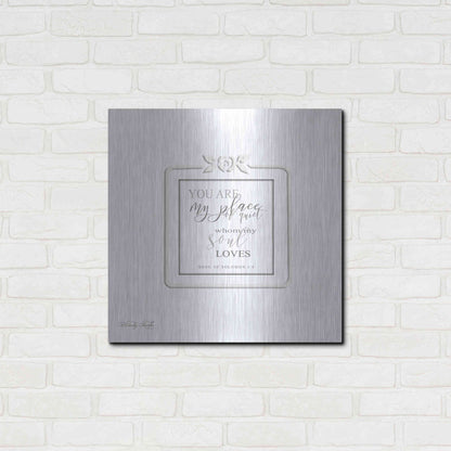 Luxe Metal Art 'My Soul Loves' by Cindy Jacobs, Metal Wall Art,24x24