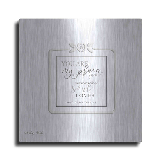 Luxe Metal Art 'My Soul Loves' by Cindy Jacobs, Metal Wall Art