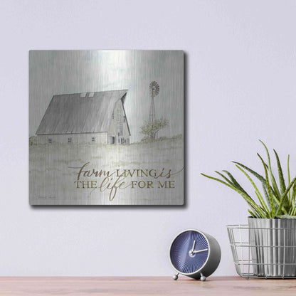 Luxe Metal Art 'Farm Living' by Cindy Jacobs, Metal Wall Art,12x12