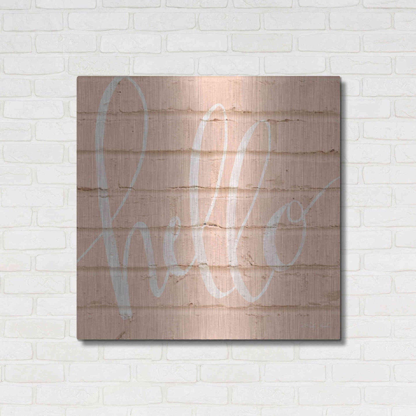 Luxe Metal Art 'Hello Pink' by Cindy Jacobs, Metal Wall Art,36x36