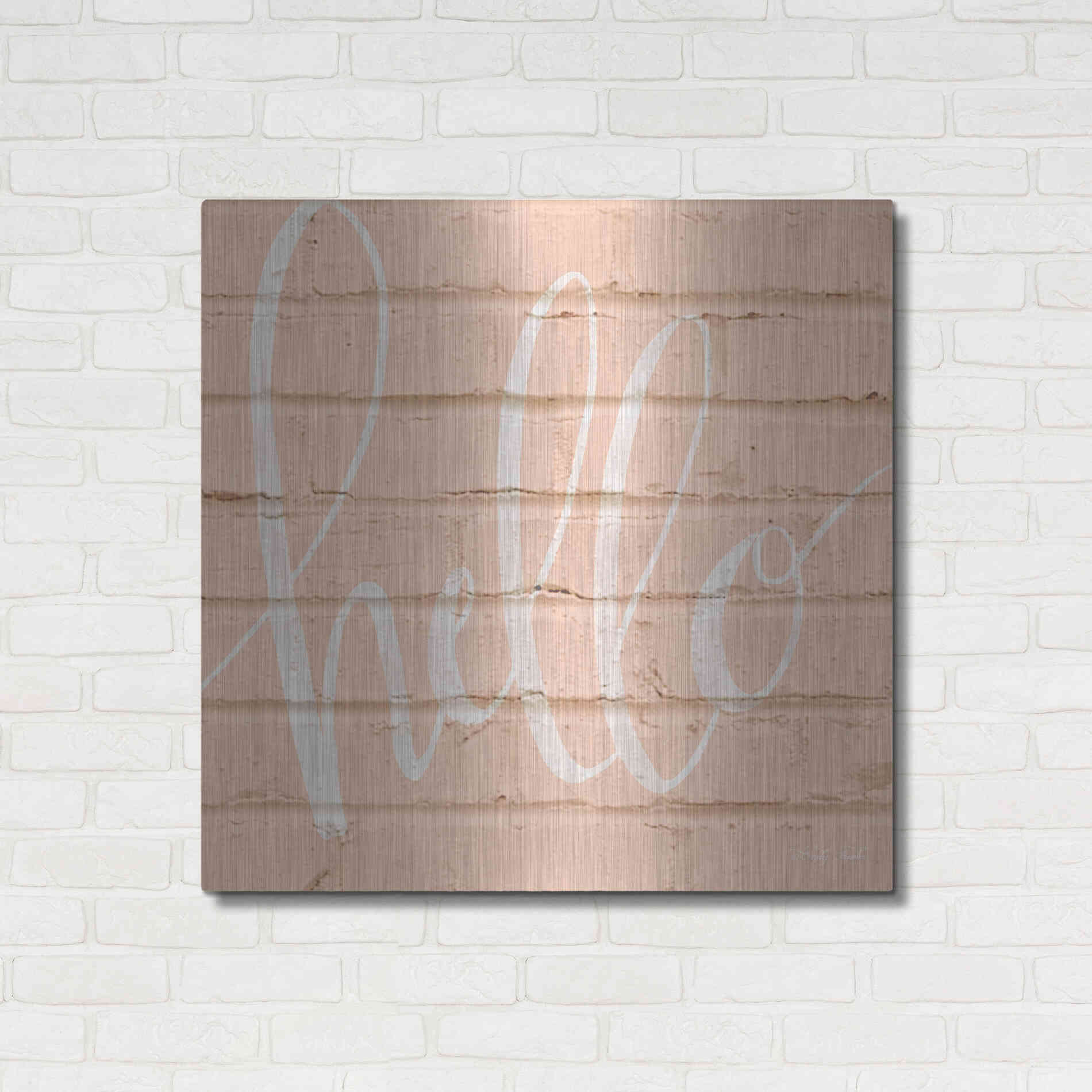 Luxe Metal Art 'Hello Pink' by Cindy Jacobs, Metal Wall Art,36x36