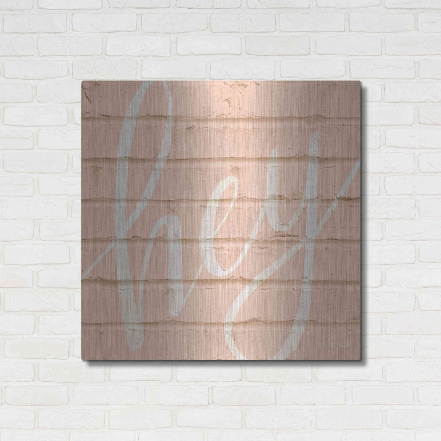 Luxe Metal Art 'Hey Pink' by Cindy Jacobs, Metal Wall Art,36x36