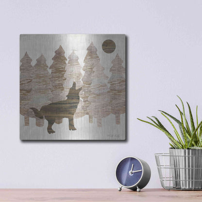 Luxe Metal Art 'Howl at the Moon I' by Cindy Jacobs, Metal Wall Art,12x12