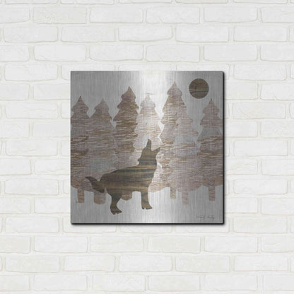 Luxe Metal Art 'Howl at the Moon I' by Cindy Jacobs, Metal Wall Art,24x24