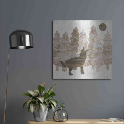 Luxe Metal Art 'Howl at the Moon I' by Cindy Jacobs, Metal Wall Art,24x24
