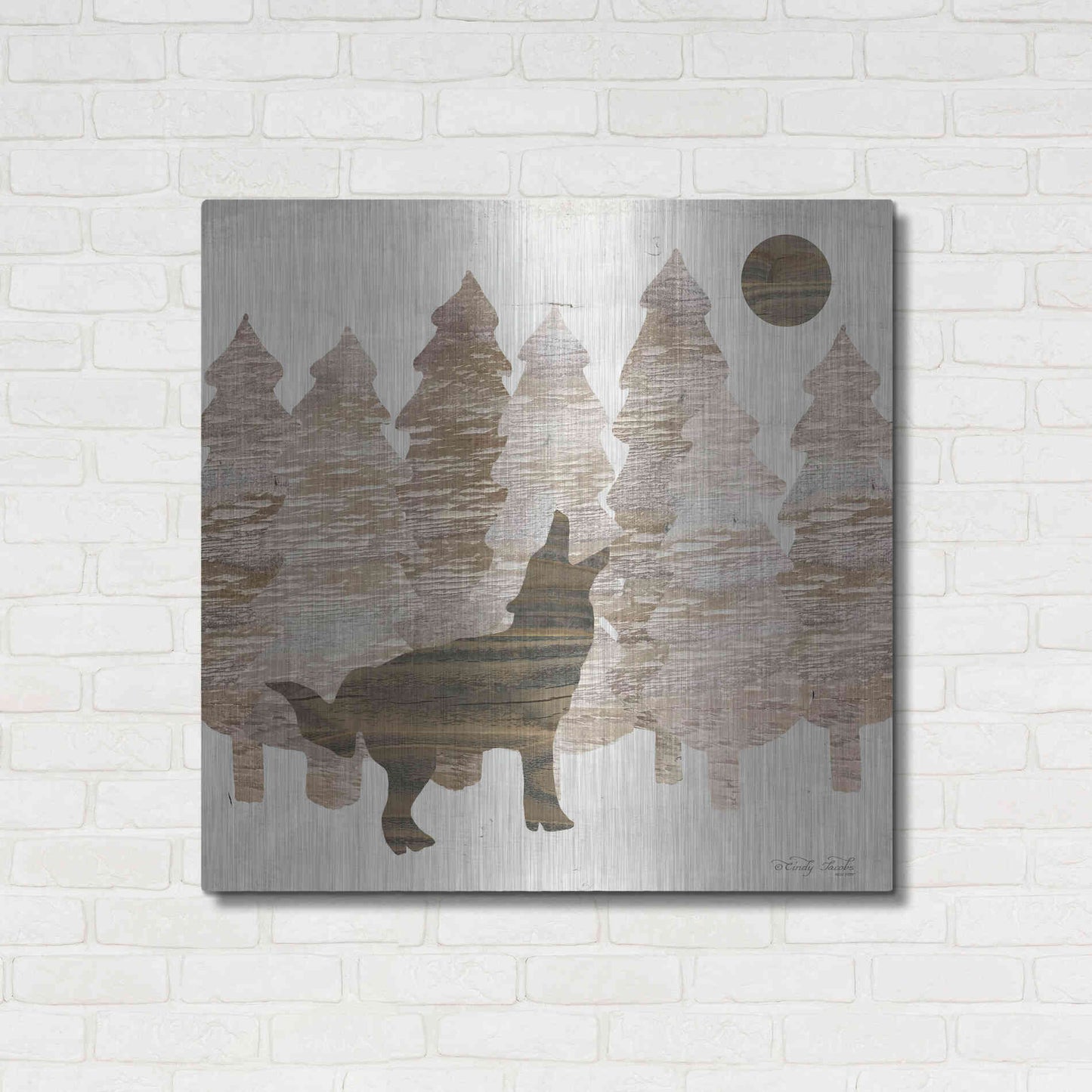 Luxe Metal Art 'Howl at the Moon I' by Cindy Jacobs, Metal Wall Art,36x36