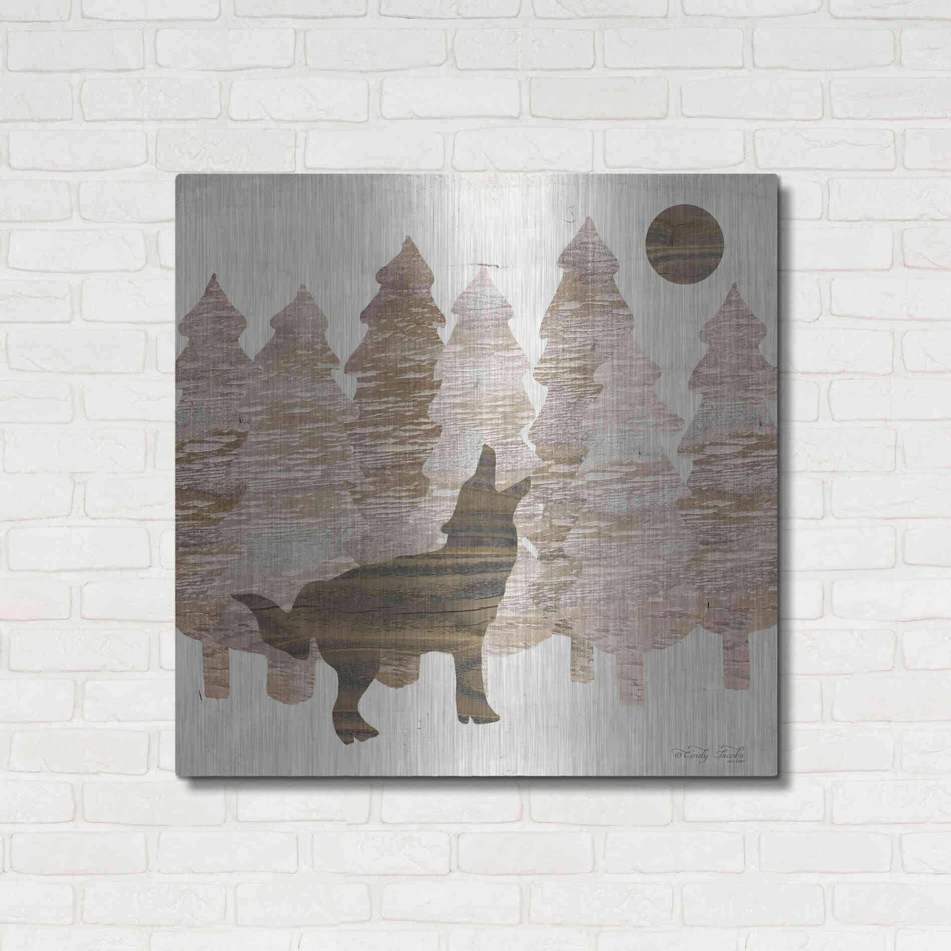 Luxe Metal Art 'Howl at the Moon I' by Cindy Jacobs, Metal Wall Art,36x36