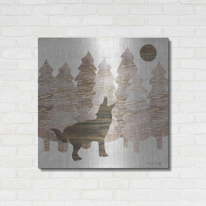Luxe Metal Art 'Howl at the Moon I' by Cindy Jacobs, Metal Wall Art,36x36