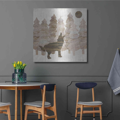 Luxe Metal Art 'Howl at the Moon I' by Cindy Jacobs, Metal Wall Art,36x36