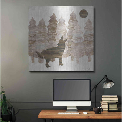 Luxe Metal Art 'Howl at the Moon I' by Cindy Jacobs, Metal Wall Art,36x36