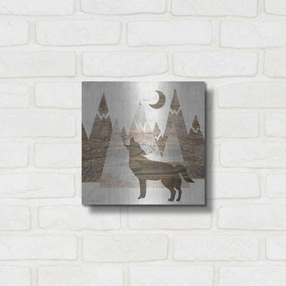 Luxe Metal Art 'Howl at the Moon II' by Cindy Jacobs, Metal Wall Art,12x12