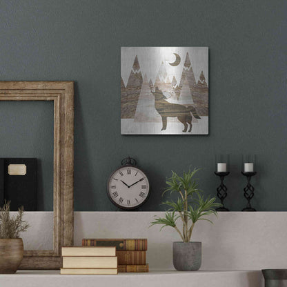 Luxe Metal Art 'Howl at the Moon II' by Cindy Jacobs, Metal Wall Art,12x12
