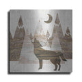 Luxe Metal Art 'Howl at the Moon II' by Cindy Jacobs, Metal Wall Art