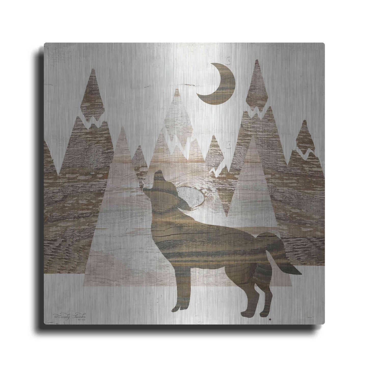 Luxe Metal Art 'Howl at the Moon II' by Cindy Jacobs, Metal Wall Art