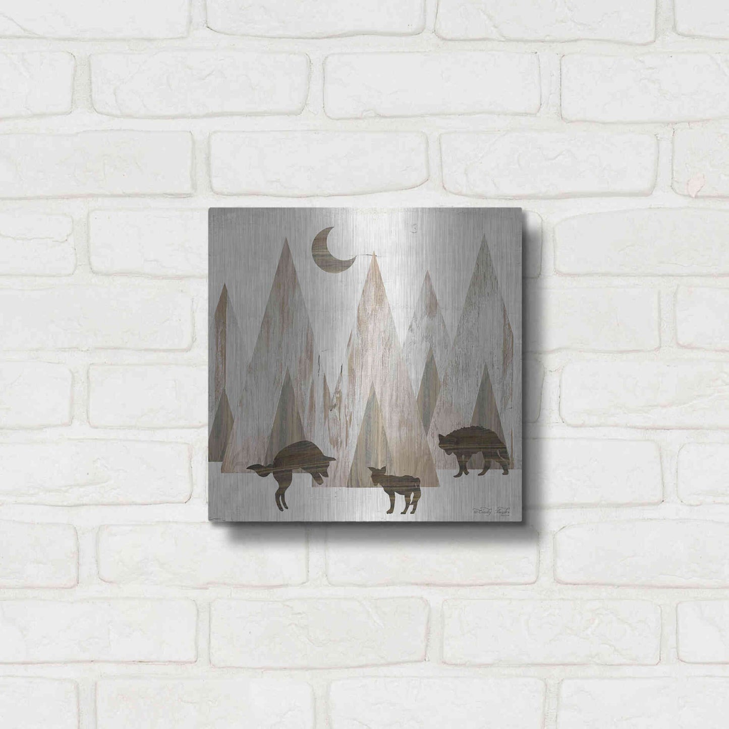 Luxe Metal Art 'Night Play' by Cindy Jacobs, Metal Wall Art,12x12