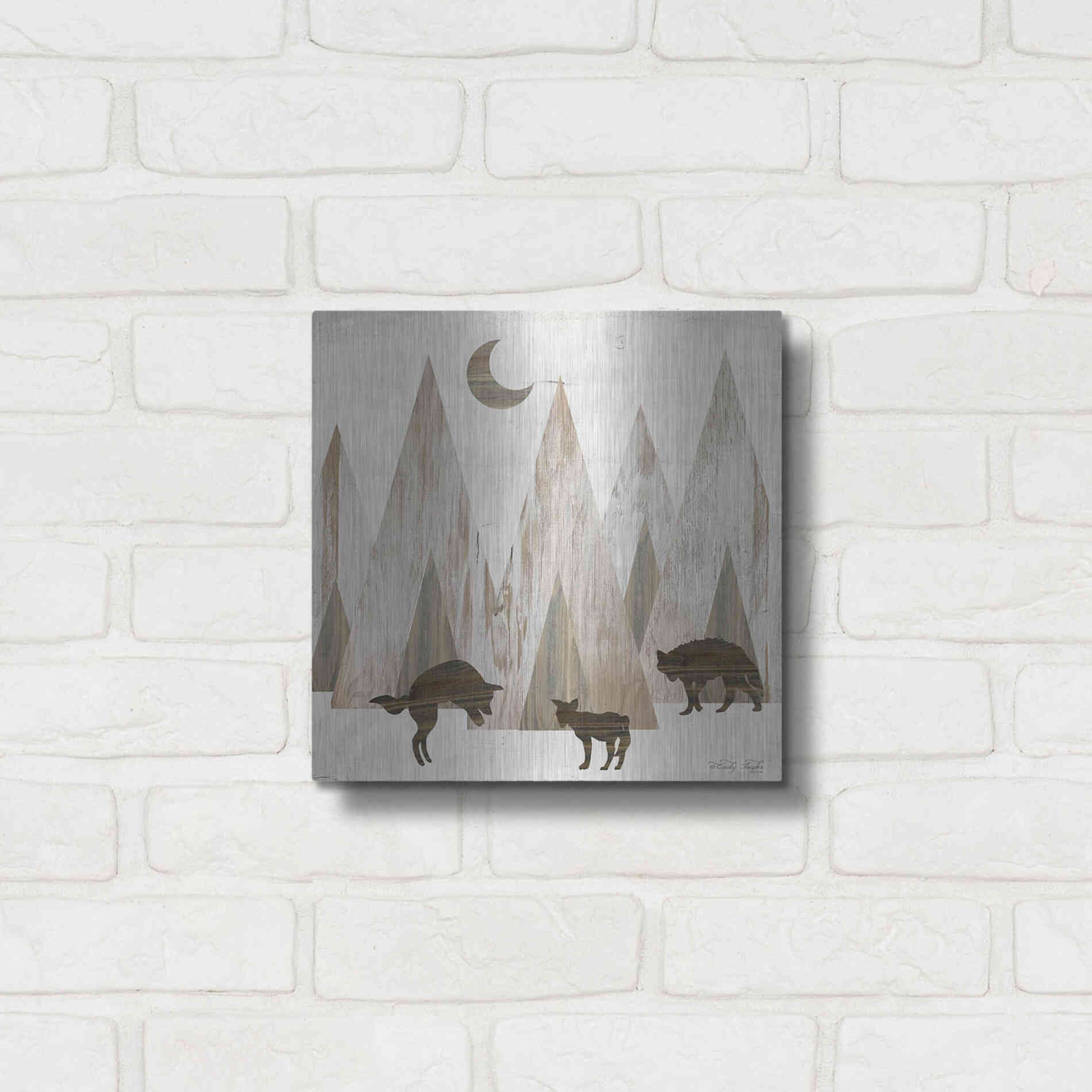 Luxe Metal Art 'Night Play' by Cindy Jacobs, Metal Wall Art,12x12