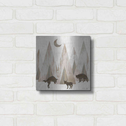 Luxe Metal Art 'Night Play' by Cindy Jacobs, Metal Wall Art,12x12