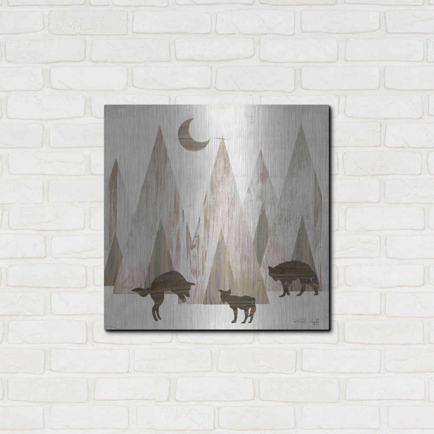 Luxe Metal Art 'Night Play' by Cindy Jacobs, Metal Wall Art,24x24