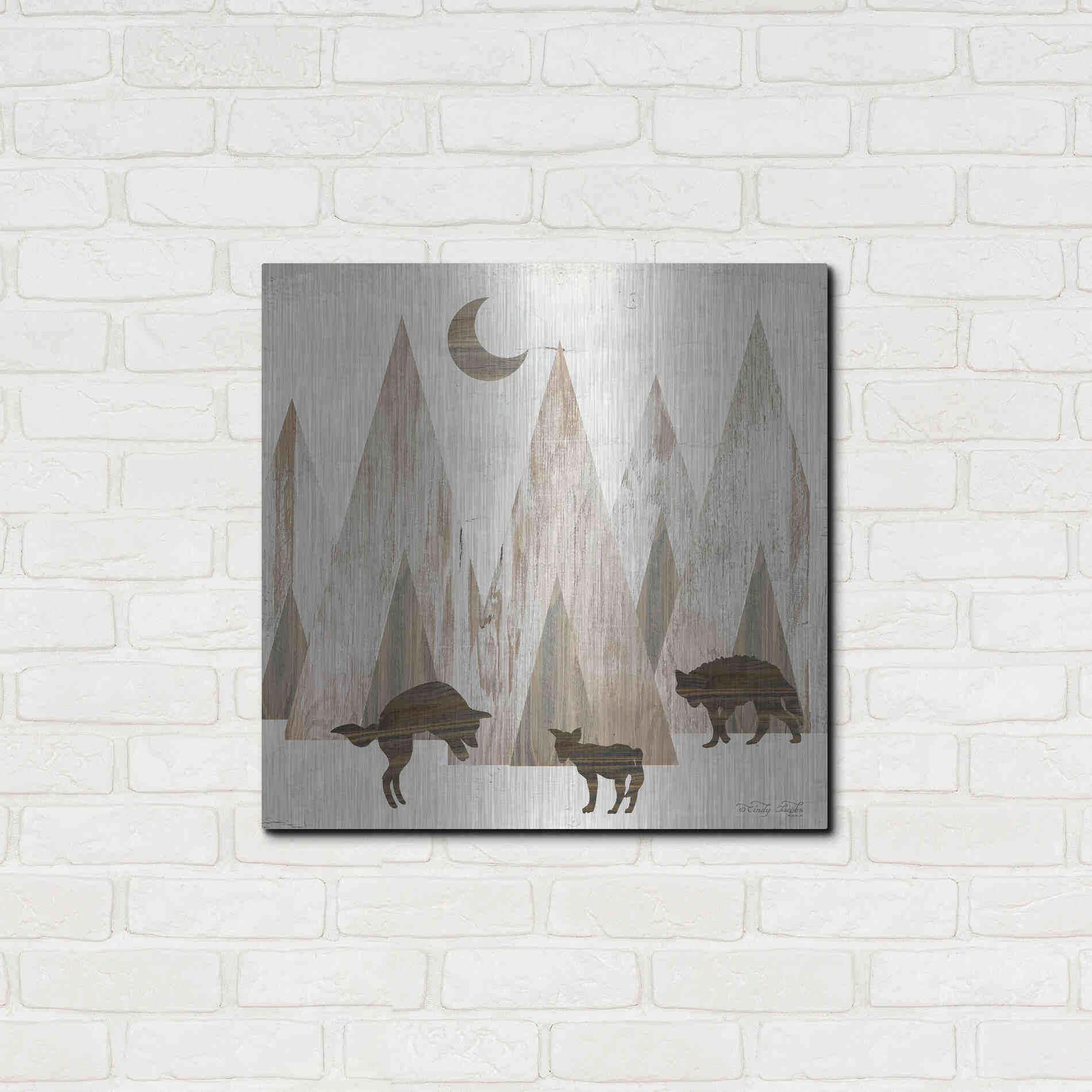 Luxe Metal Art 'Night Play' by Cindy Jacobs, Metal Wall Art,24x24