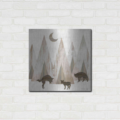 Luxe Metal Art 'Night Play' by Cindy Jacobs, Metal Wall Art,24x24
