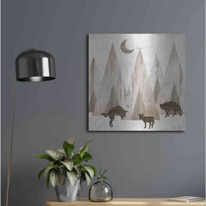 Luxe Metal Art 'Night Play' by Cindy Jacobs, Metal Wall Art,24x24