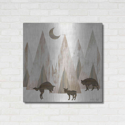 Luxe Metal Art 'Night Play' by Cindy Jacobs, Metal Wall Art,36x36