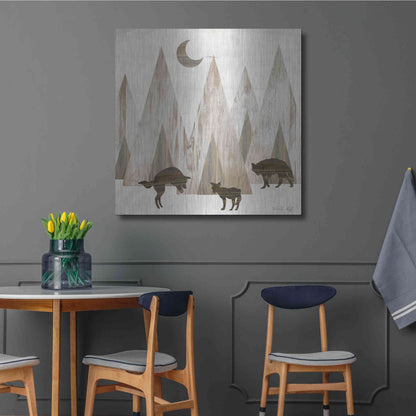 Luxe Metal Art 'Night Play' by Cindy Jacobs, Metal Wall Art,36x36