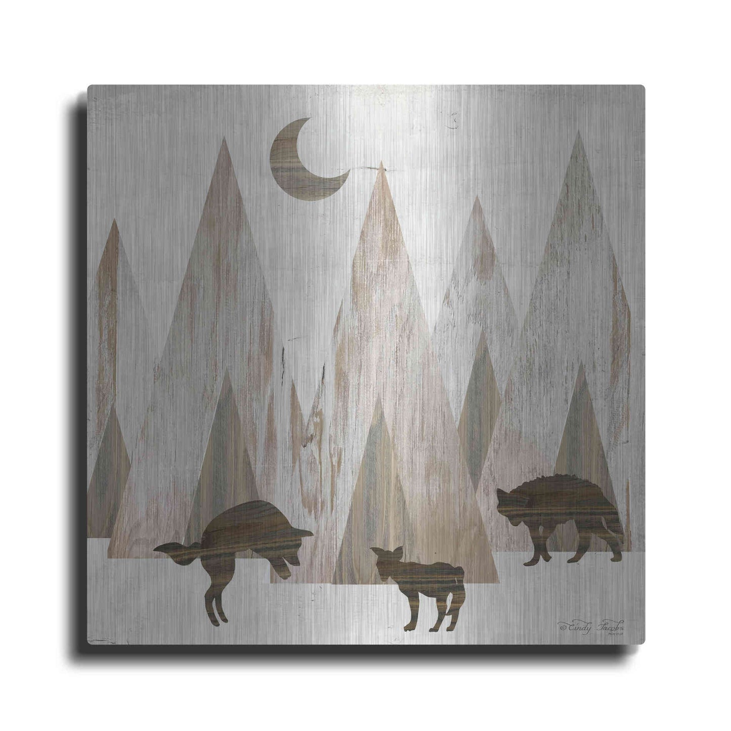 Luxe Metal Art 'Night Play' by Cindy Jacobs, Metal Wall Art