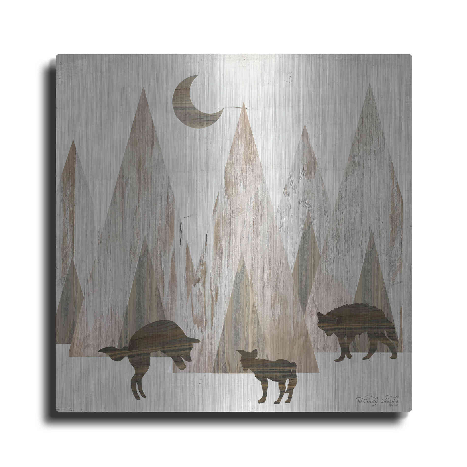 Luxe Metal Art 'Night Play' by Cindy Jacobs, Metal Wall Art