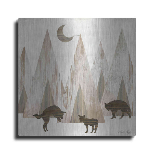 Luxe Metal Art 'Night Play' by Cindy Jacobs, Metal Wall Art