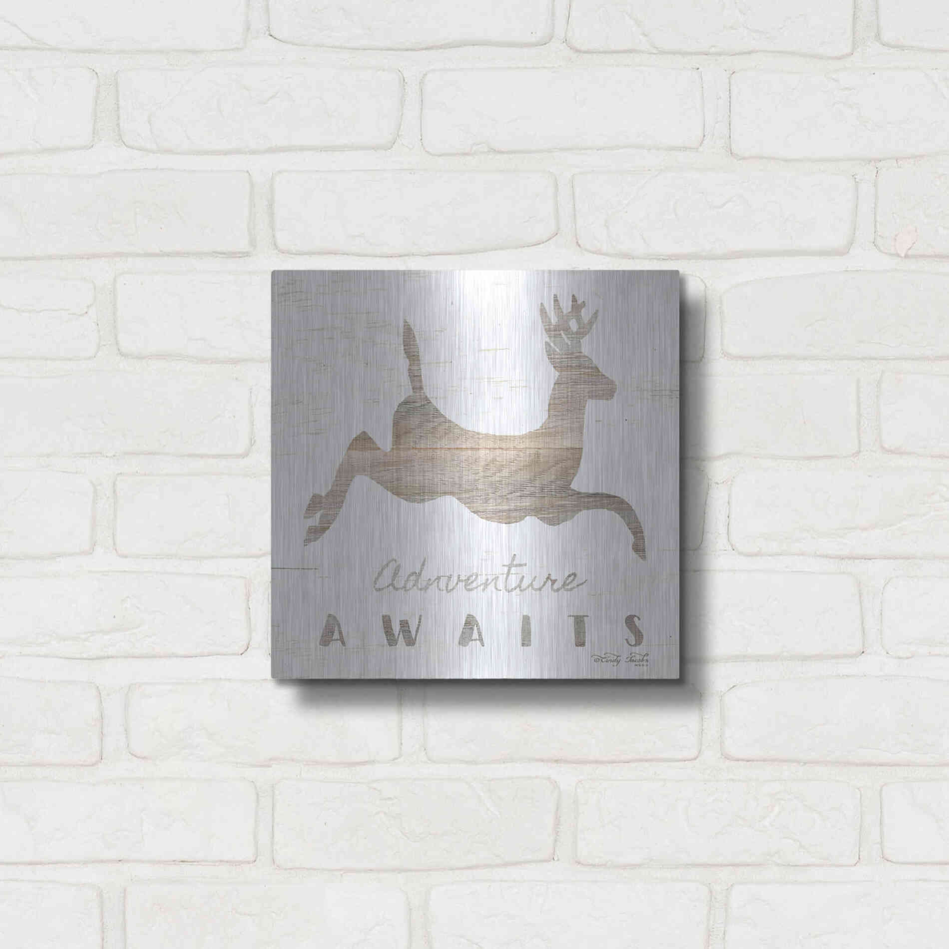 Luxe Metal Art 'Adventure Awaits Deer' by Cindy Jacobs, Metal Wall Art,12x12