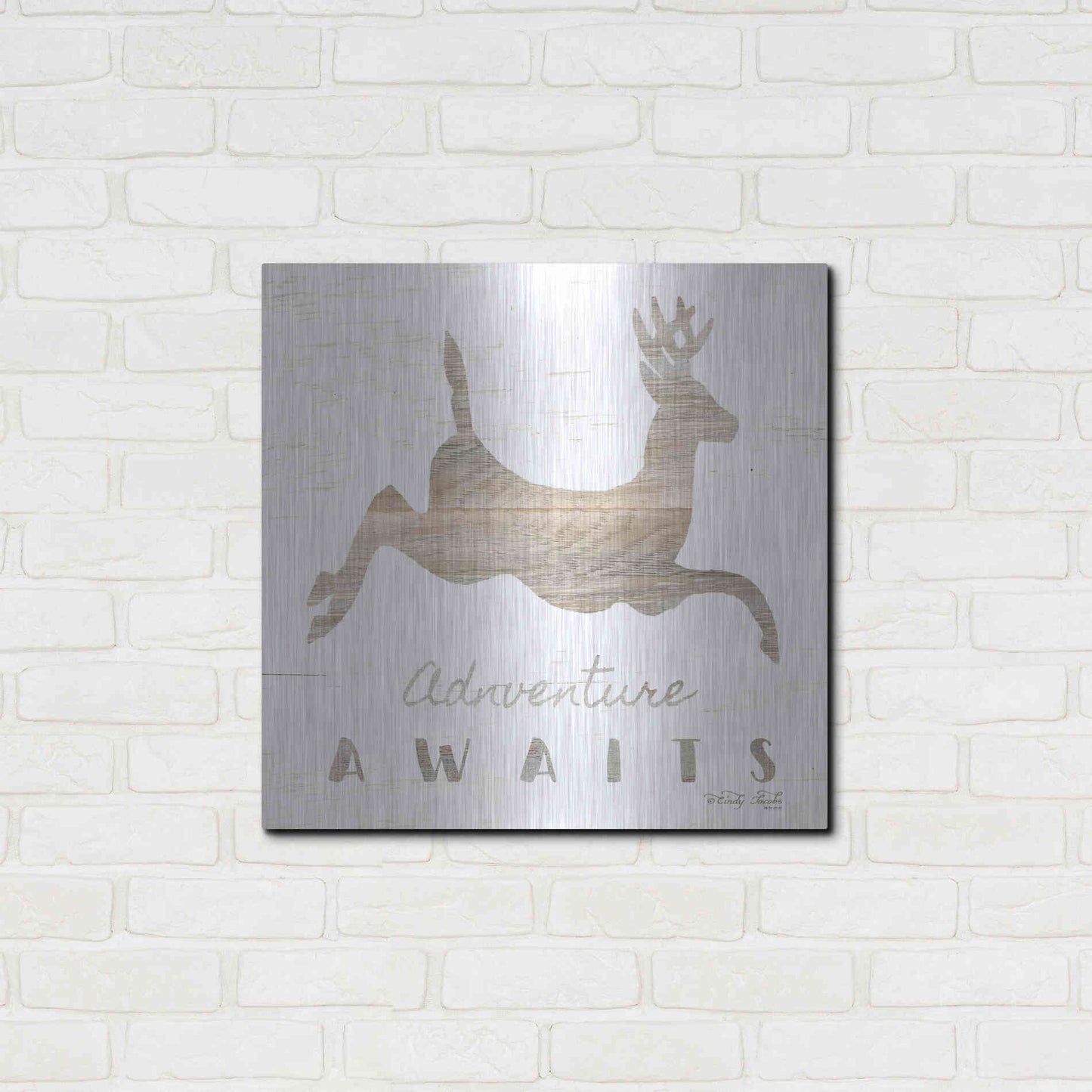Luxe Metal Art 'Adventure Awaits Deer' by Cindy Jacobs, Metal Wall Art,24x24