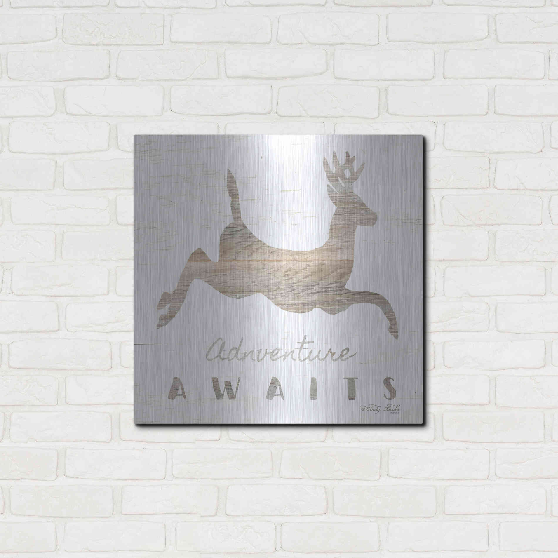 Luxe Metal Art 'Adventure Awaits Deer' by Cindy Jacobs, Metal Wall Art,24x24