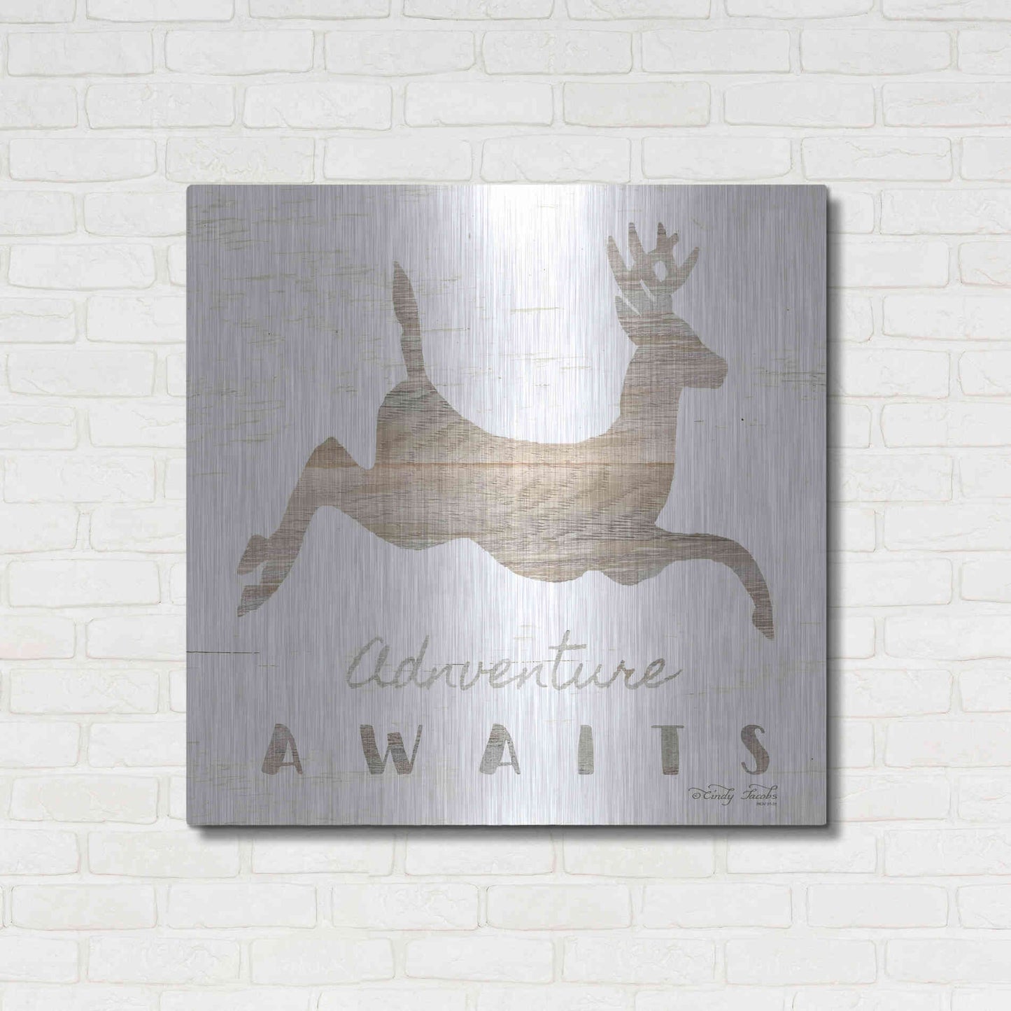 Luxe Metal Art 'Adventure Awaits Deer' by Cindy Jacobs, Metal Wall Art,36x36